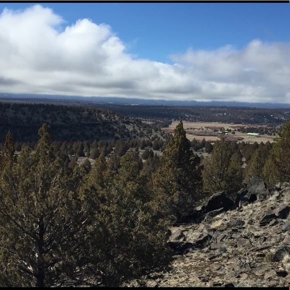 Meet your Posher, Joshua - Picture 1 of 1